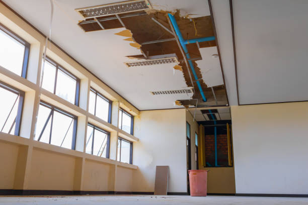 Best Professional water damage repair  in Rochester, NH