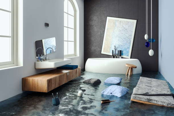 Best Water damage cleanup near me  in Rochester, NH
