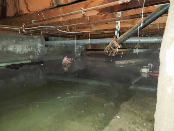 Best Emergency water extraction  in Rochester, NH