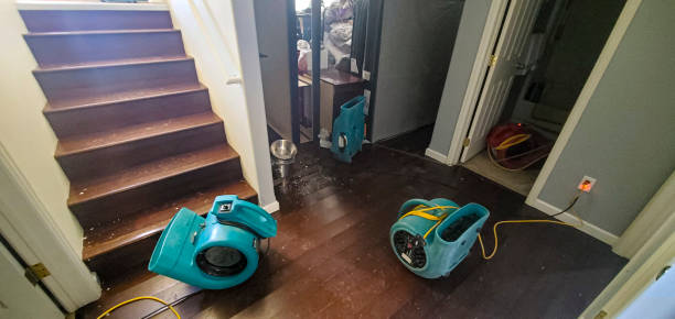 Sewage cleanup and water damage restoration in NH