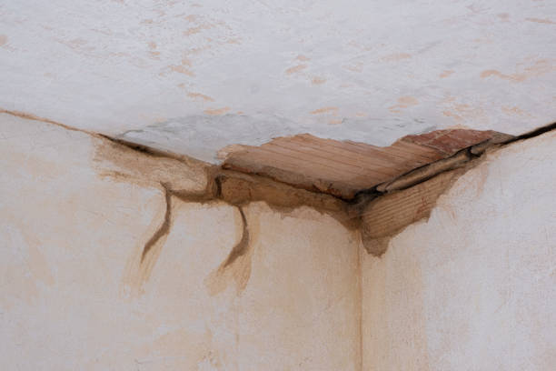 Best Water damage repair service  in Rochester, NH