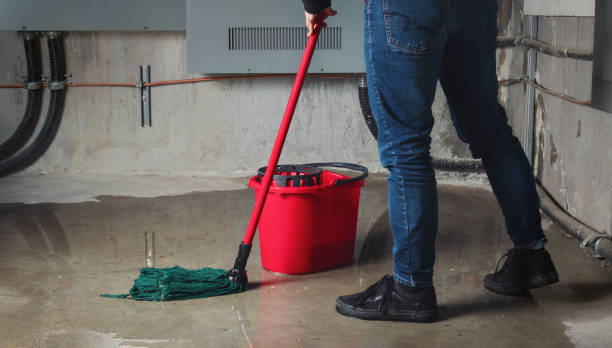 Best Fire Damage Restoration  in Rochester, NH