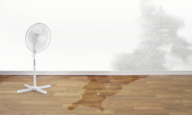 Best Water damage restoration near me  in Rochester, NH