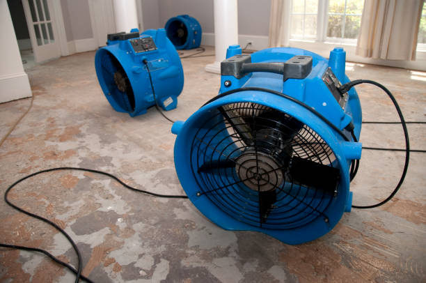 Best 24/7 water damage repair  in Rochester, NH