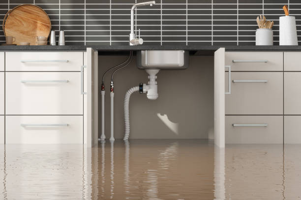 Best 24-hour water damage restoration  in Rochester, NH