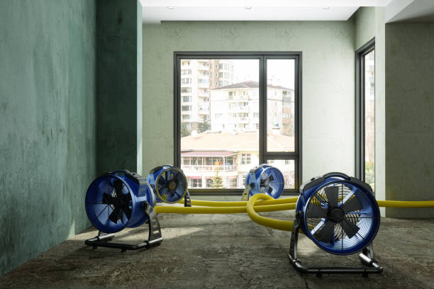 Best Basement water damage restoration  in Rochester, NH